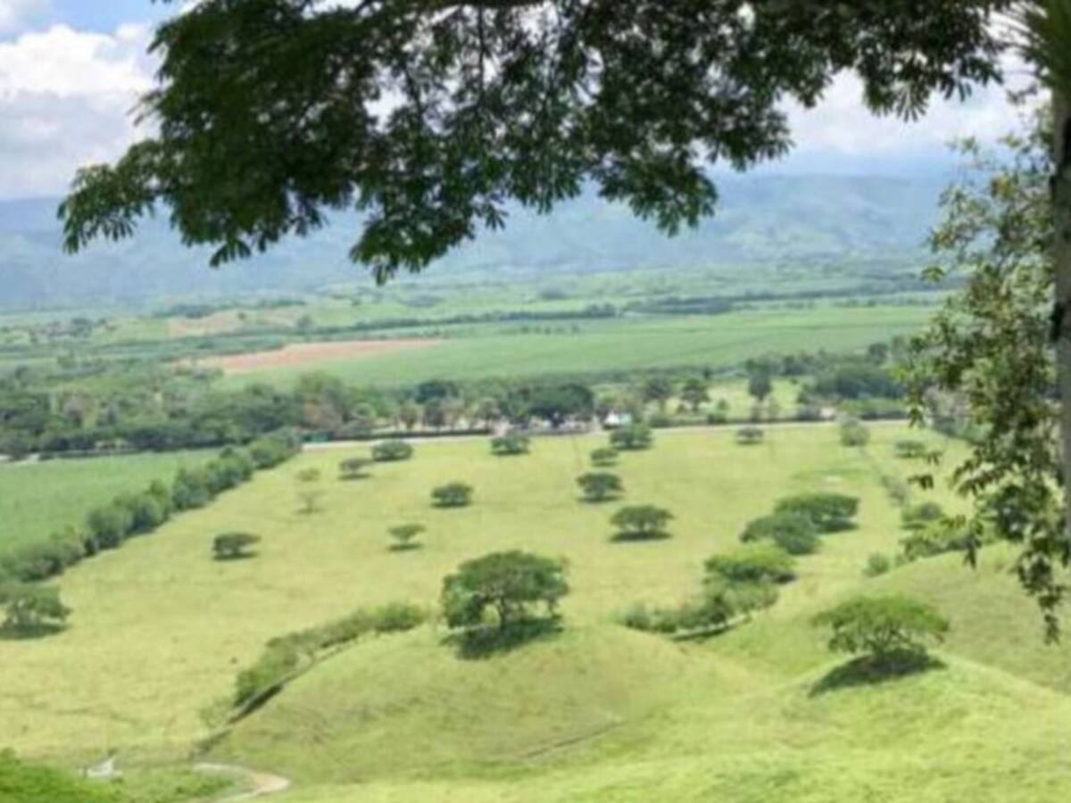 A finales del año iniciará la construcción de la PLEC Eje Cafetero