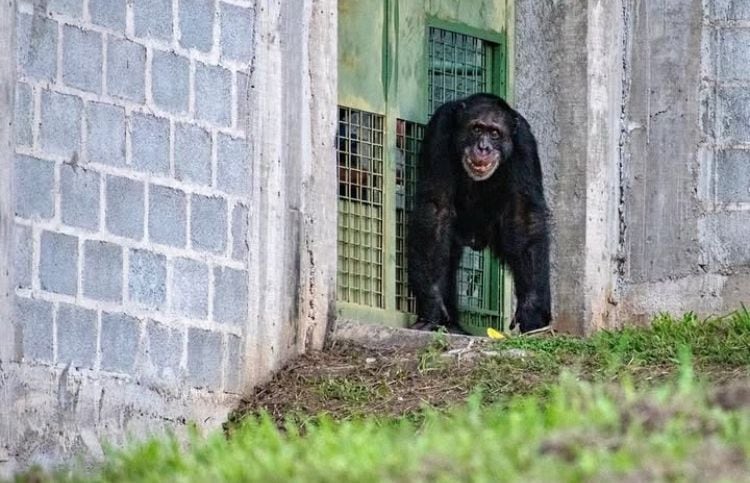 Fotografía: projetogapbrasil