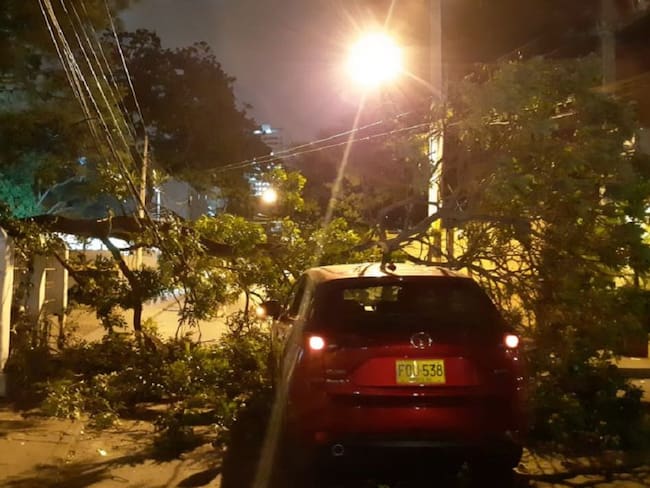 Familia se salva de morir tras caída de un árbol en Cartagena