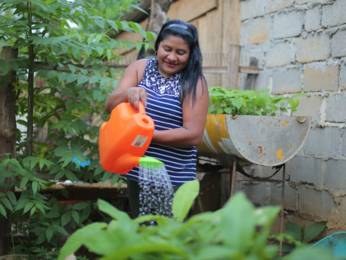 Programas de educación ambiental: de lo presencial a lo virtual