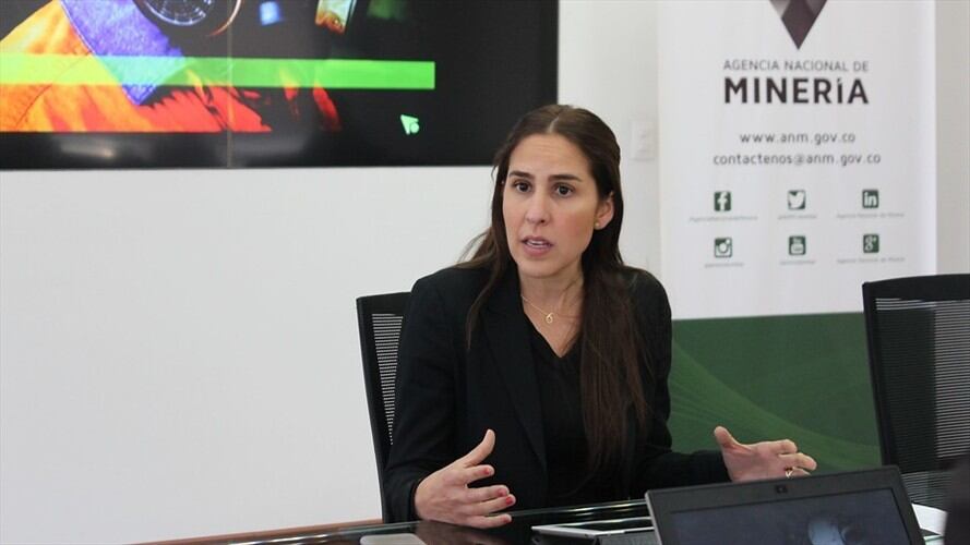 Silvana Habib Daza, presidenta Agencia Nacional de Minería. Foto: Colprensa