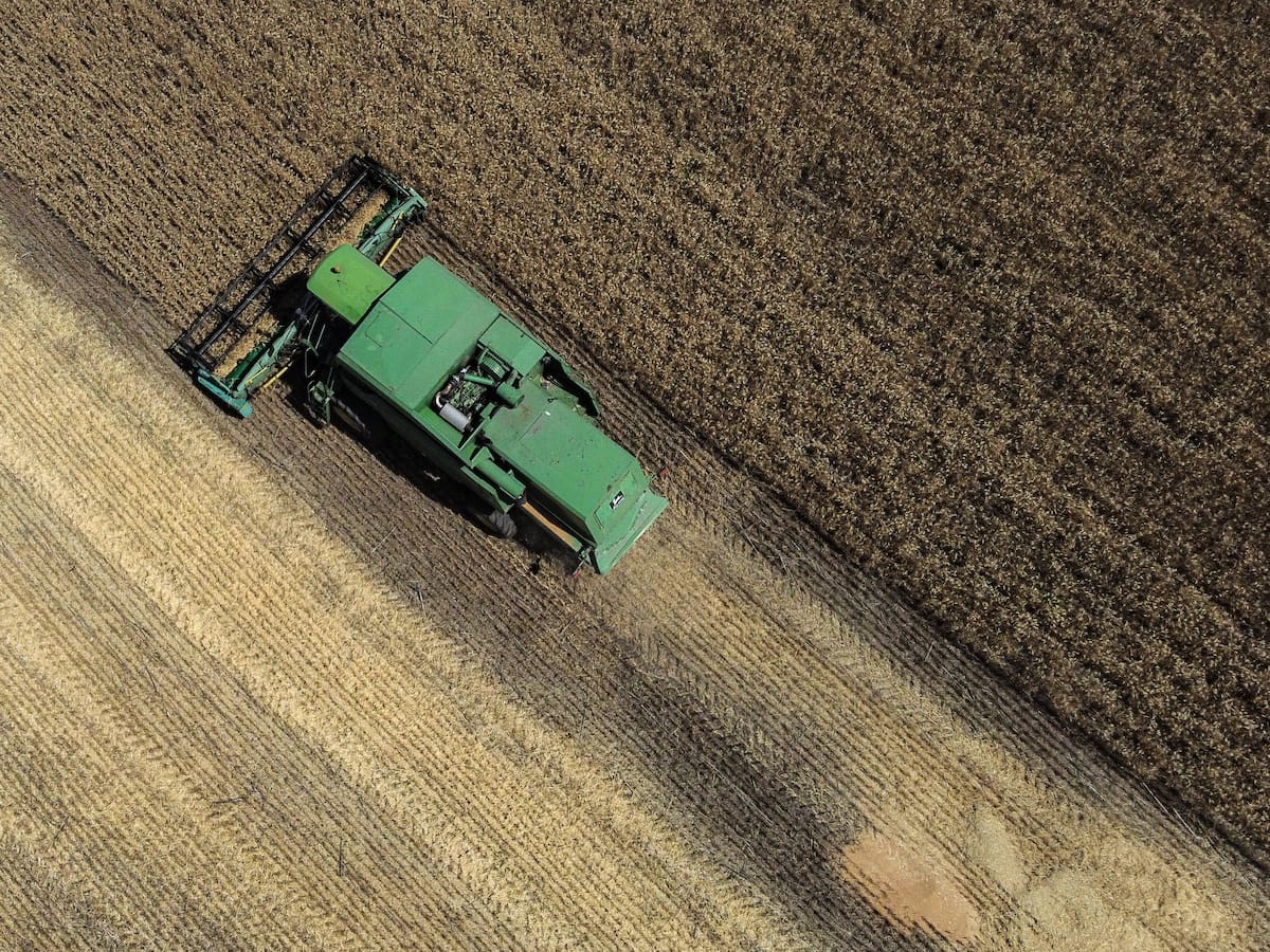 Turquía buscará reactivar acuerdo de cereales entre Rusia y Ucrania