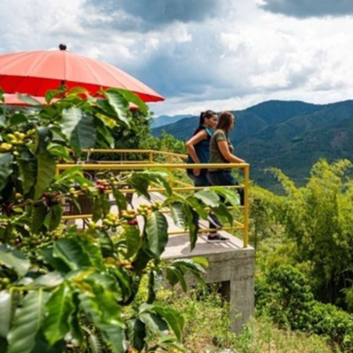 En los 55 años de Risaralda, se destaca su crecimiento turístico