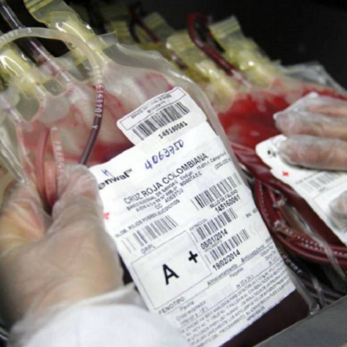 S.O.S. de banco de sangre de Cruz Roja en Quindío por escasez de unidades