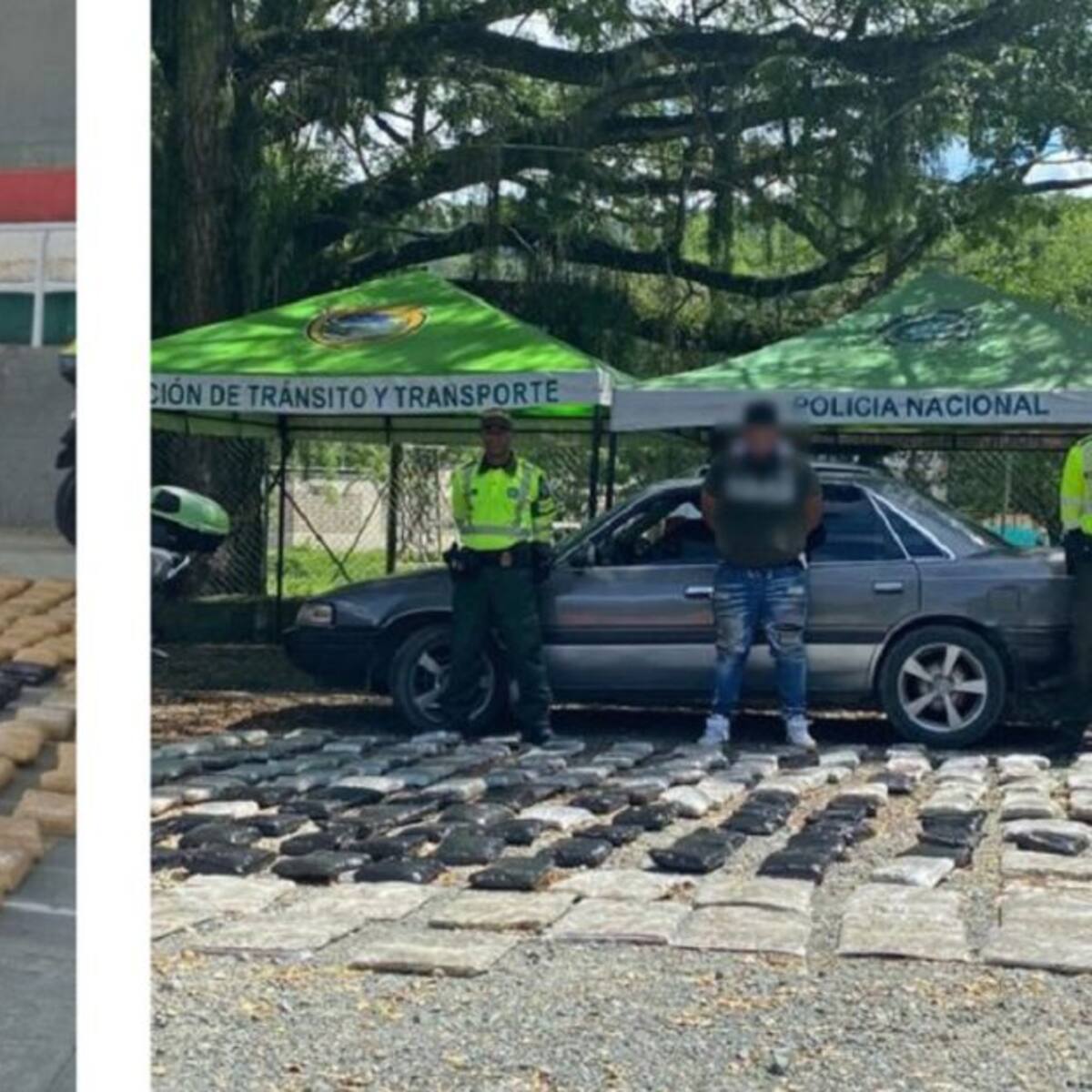 En Yarumal y la Pintada incautaron más de media tonelada de marihuana