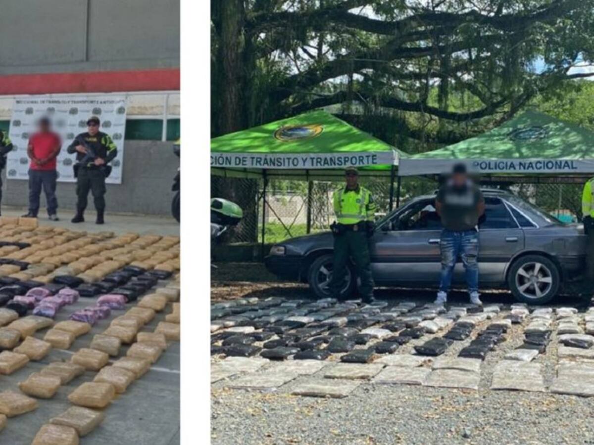 En Yarumal y la Pintada incautaron más de media tonelada de marihuana