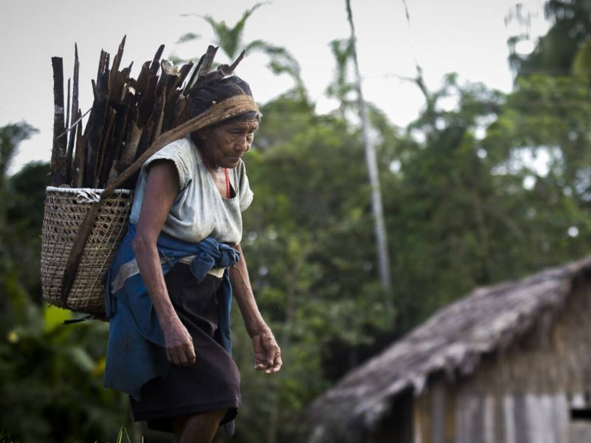 Juzgado decreta medida cautelar provisional para proteger a los Nukak
