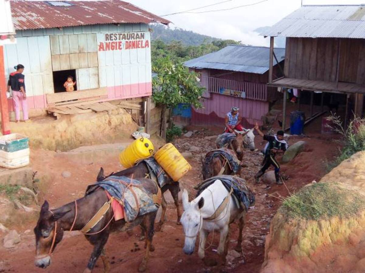 Realizarán asistencia técnica minera en Serranía de San Lucas en Bolívar