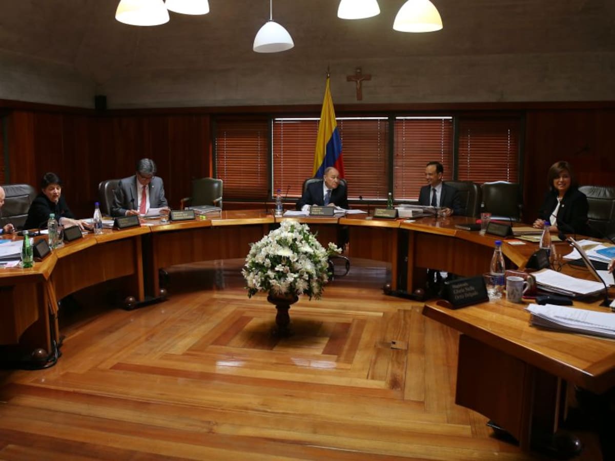 Corte Constitucional tumba 'mico' del Plan Nacional de Desarrollo