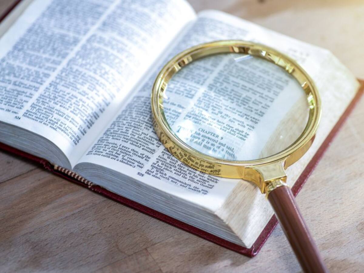 Lo único que hace la RAE es registrar palabras que se usan: Experto