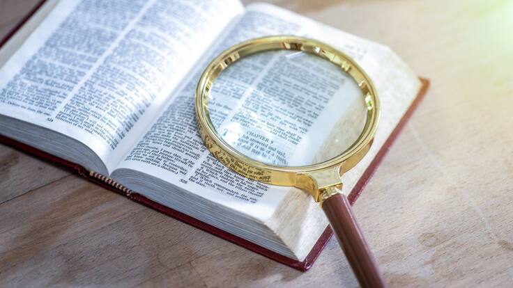 Lo único que hace la RAE es registrar las palabras que se usan: Experto