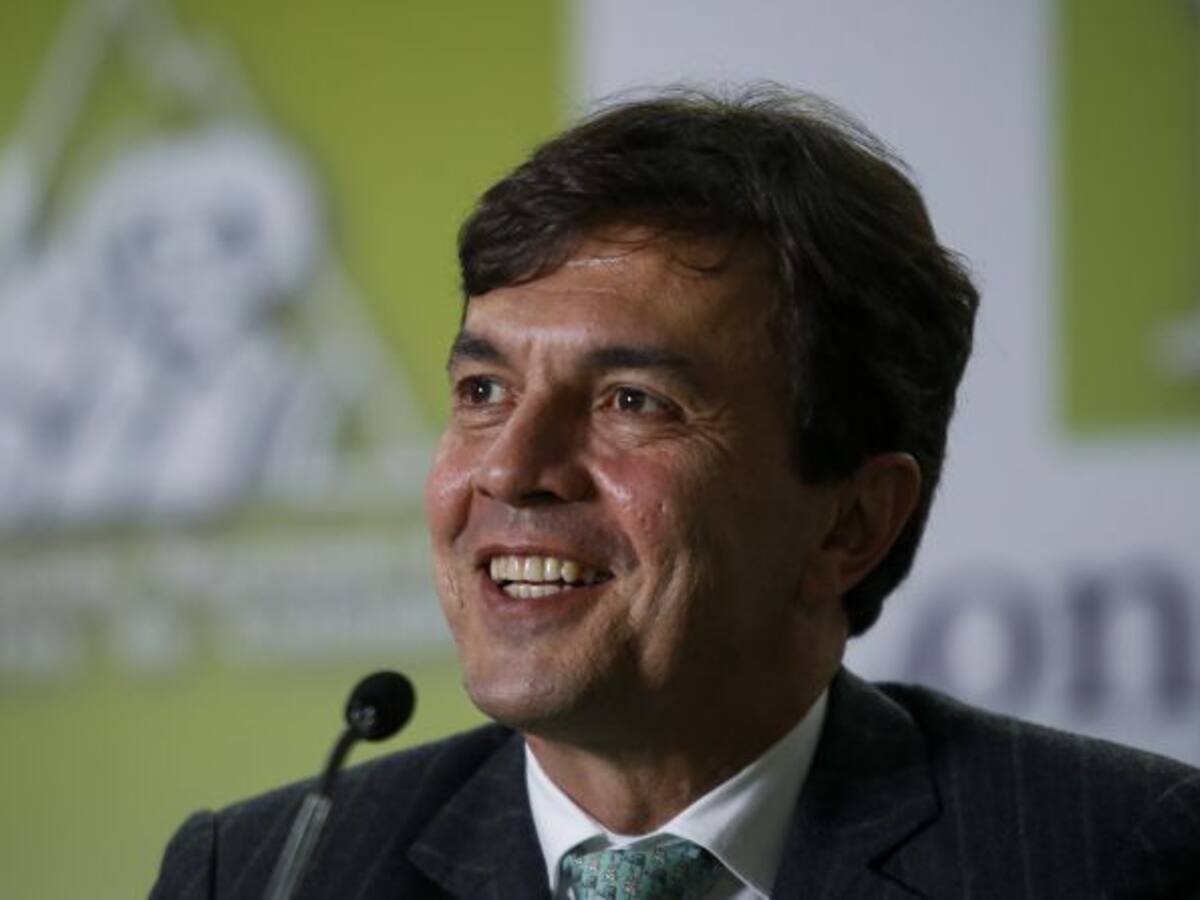 Cosecha de café será 13 millones de sacos en el 2015: Fedecafé