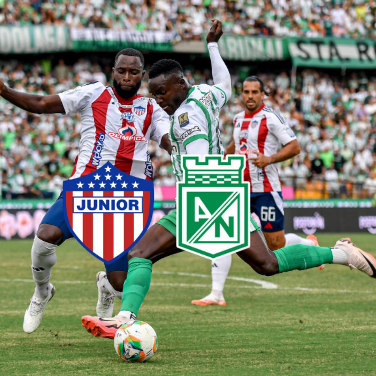 Junior vs. Nacional en Liga Colombiana: hora del partido que podría definir el “punto invisible”