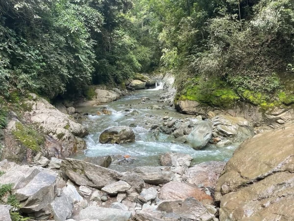 En Calarcá, Quindío hay disminución del 30% del caudal en ríos y quebradas por temporada seca