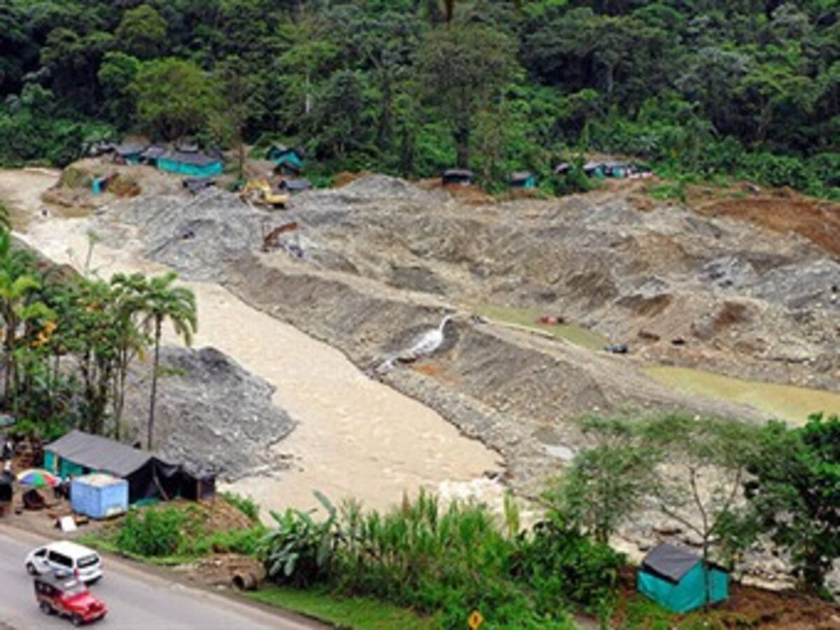Alerta en el Chocó: por lo menos 300 retroexcavadoras acaban con la selva y la seguridad