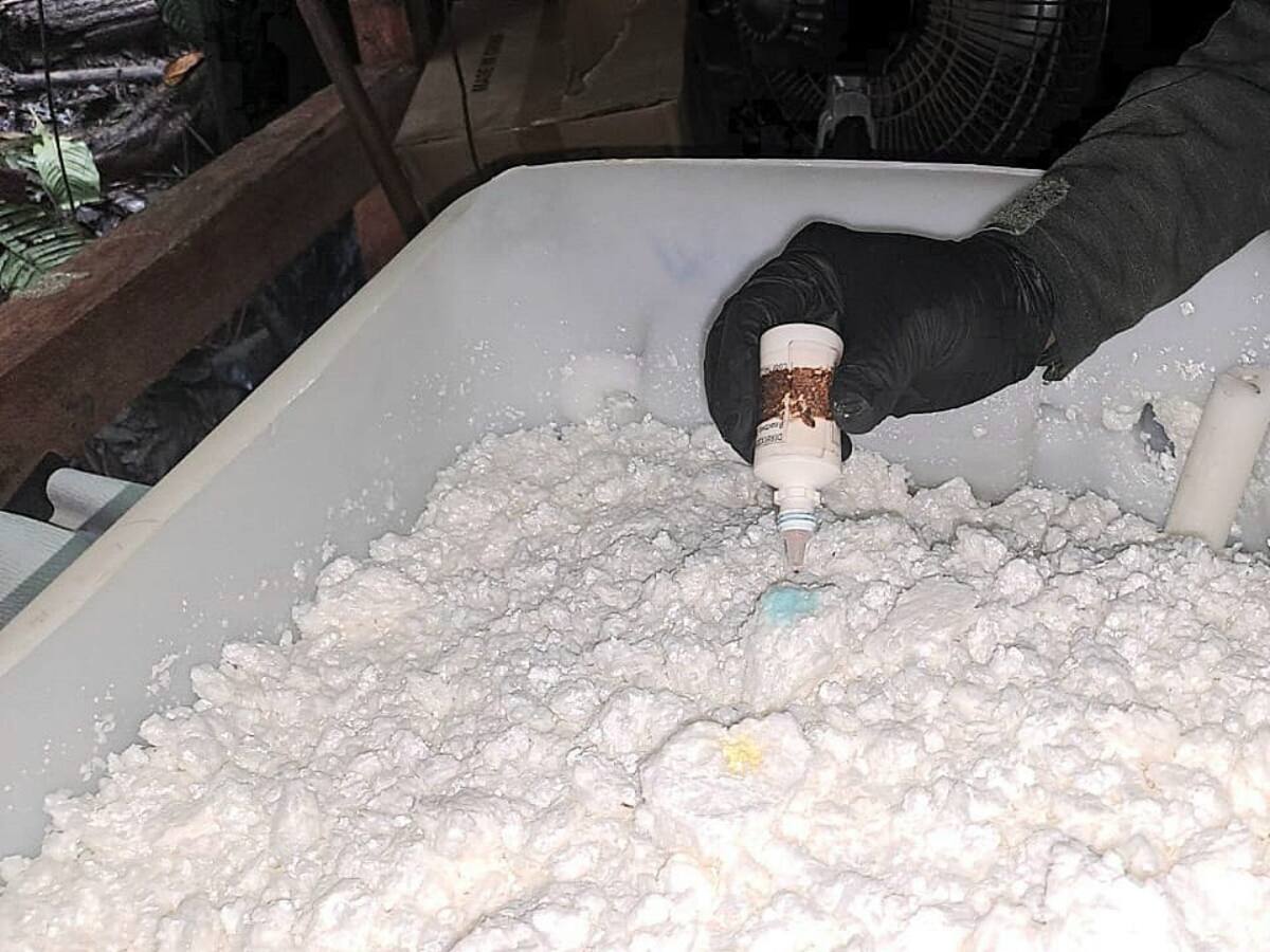 Destruyen laboratorio para el procesamiento de coca perteneciente al ELN