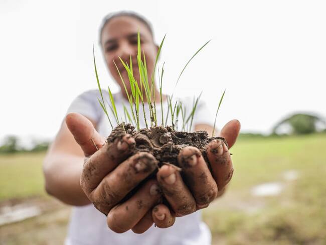 MinAgricultura destina 2.000 millones de pesos para subsidiar créditos a comunidades indígenas