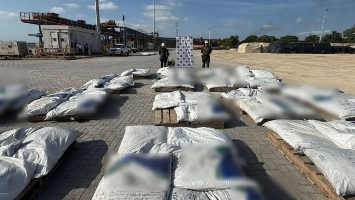 Golpe al narcotráfico: incautan 1,6 toneladas de cocaína en Cartagena valoradas en $14.390 millones