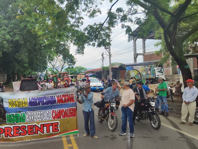 Foto: Paro arrocero