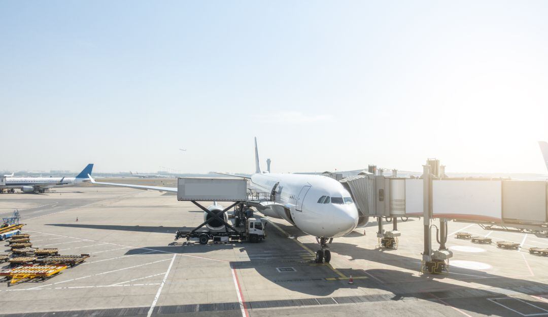 Imagen de referencia