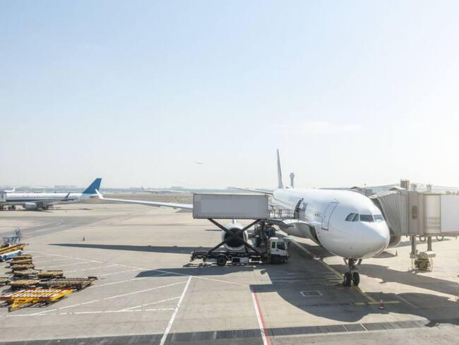 Imagen de referencia