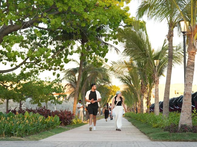 Alcaldía de Cartagena