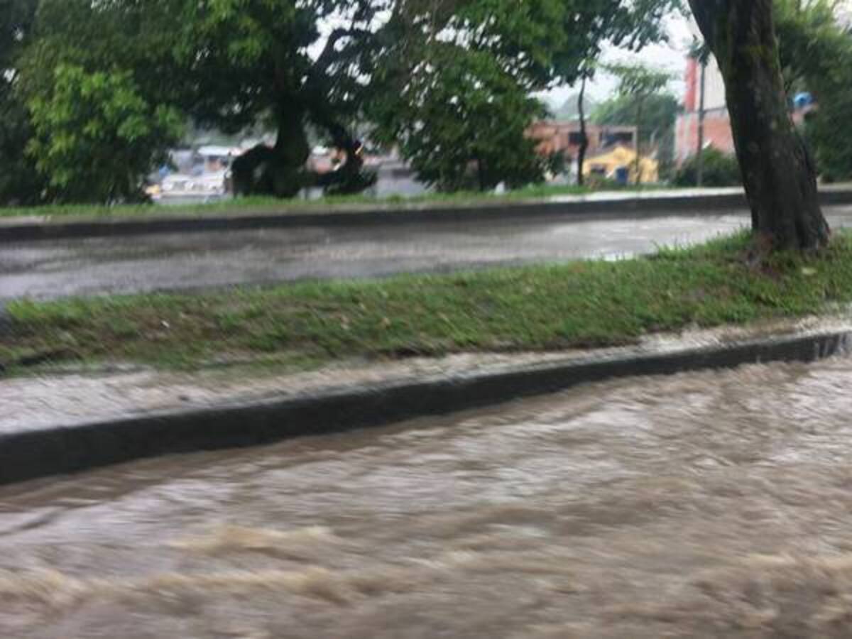 Ocho municipios del Tolima afectados por lluvias