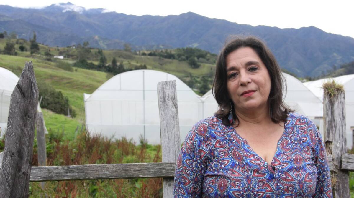 En su finca La Frontera, ubicada en el municipio de Mutiscua, Ligia Salamanca cultiva uchuvas, papa, zanahoria, brócoli, cebolla, repollo y berenjena libres de químicos. Además de su negocio de productos orgánicos, esta madre cabeza de familia conserva una gran cantidad de bosque altoandino y siembra árboles nativos para cuidar el páramo.