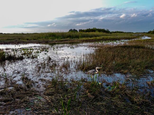 “No pondrá gente en peligro”: exfuncionario de Migración en EE.UU. sobre nuevo centro de detención
