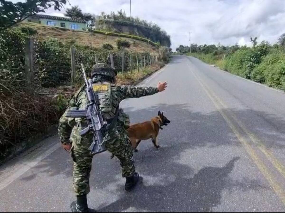 El Ejercito detonó cargas explosivas en el sector de Altamira cerca del casco urbano de Sandoná