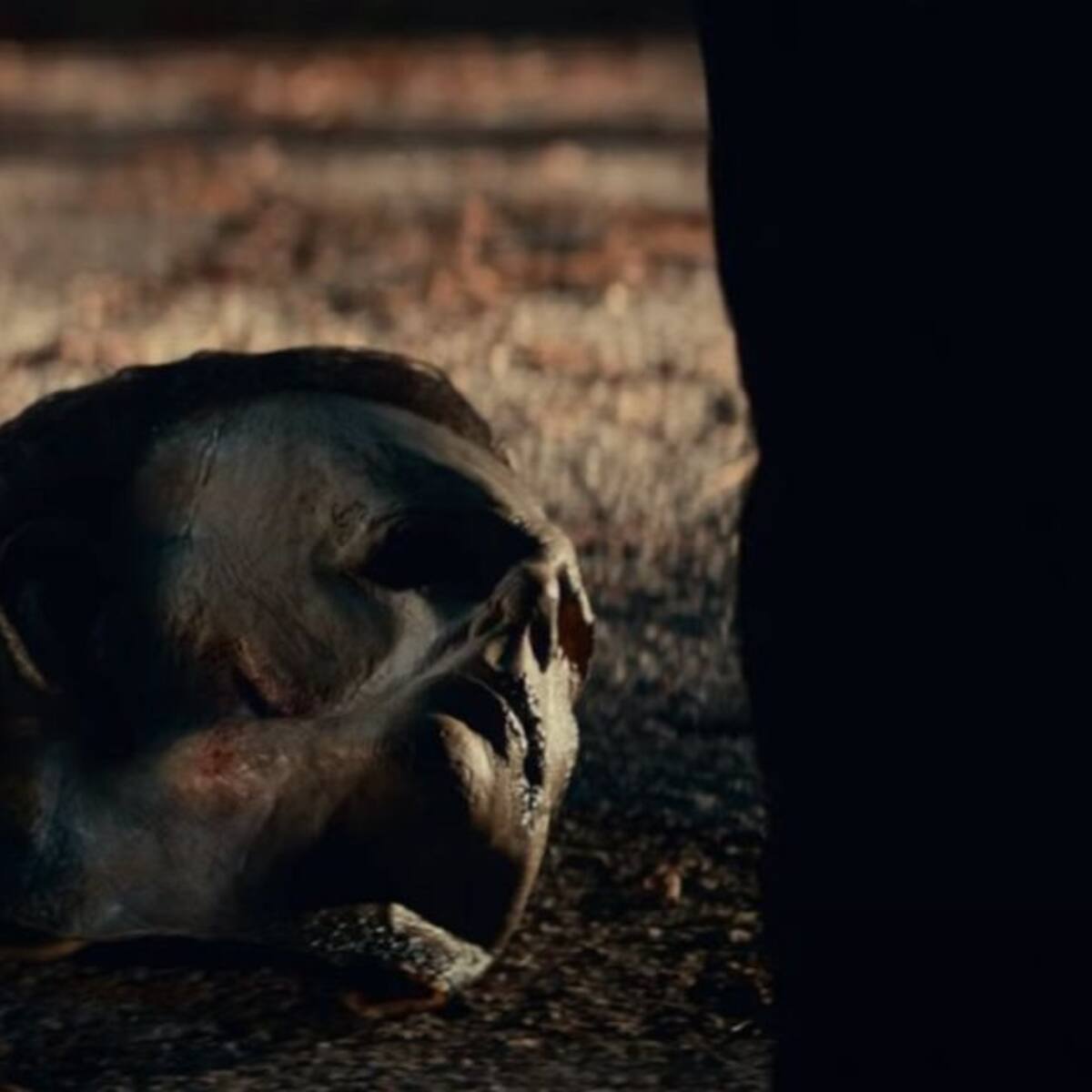 Michael Myers, desenmascarado en el sangriento tráiler de 'Halloween Kills'