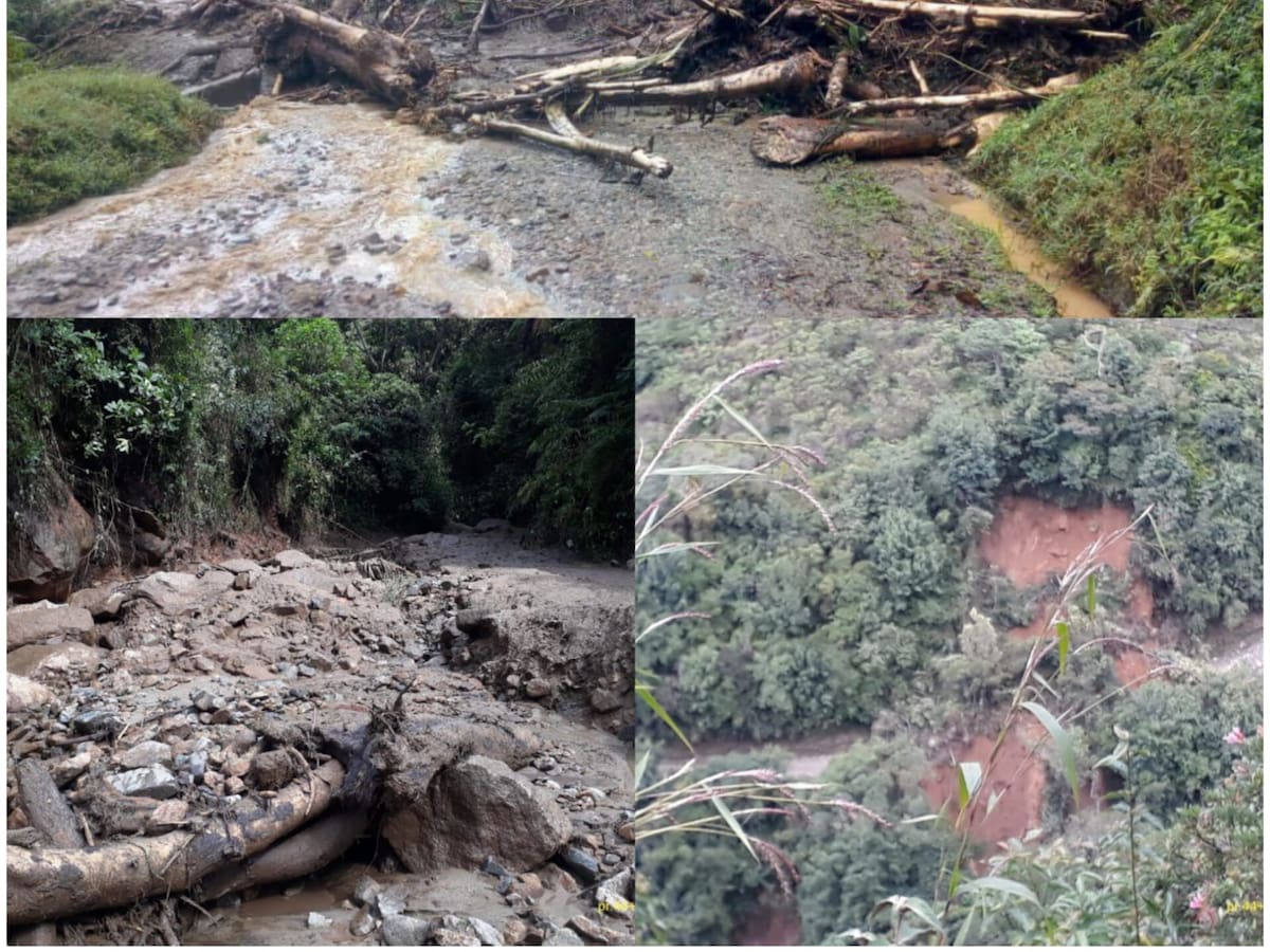 50 derrumbes en la vía Balsillas, entre el Huila y Caquetá