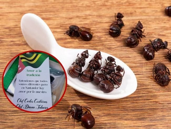 ¿Kit de hormiga culona? Así le apuestan a sacarla del ranking de los peores platos del mundo