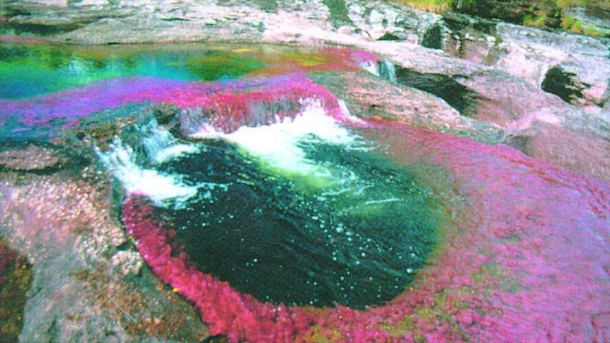 Imagen de referencia - Caño Cristales. Foto: Colprensa