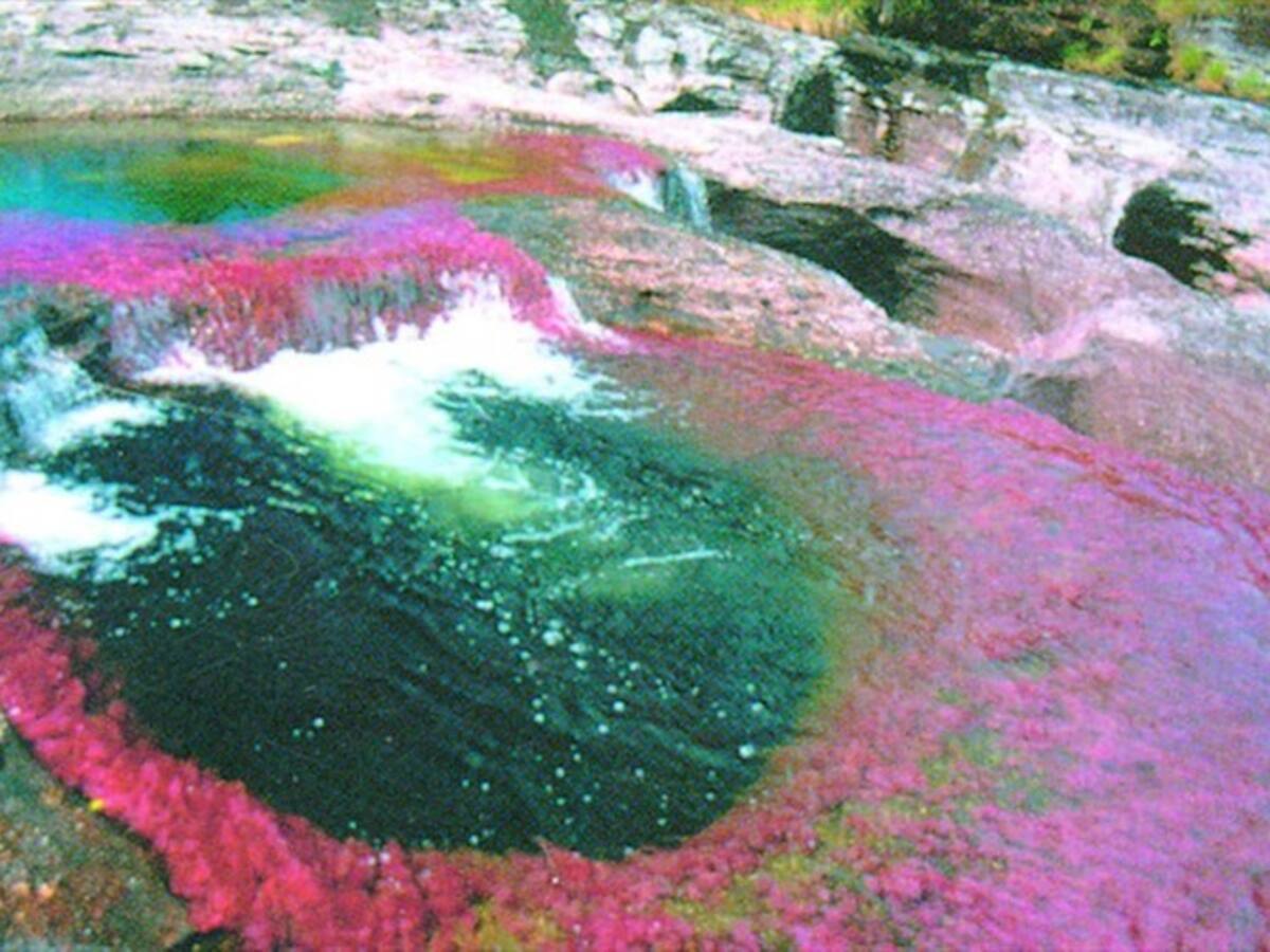 Anla se equivocó con licencia a Hupecol para explorar petróleo en Caño Cristales: Santos