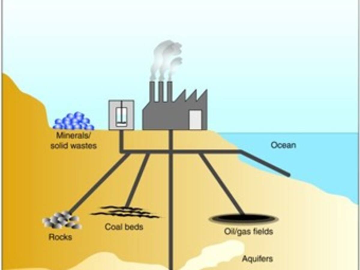 El CO2, gas de efecto invernadero ¿pronto fuente de biocarburos?