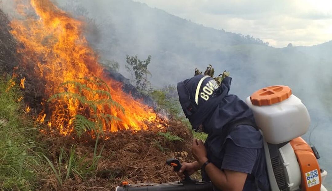En esta región en el inicio del 2023 se han afectado 120 hectáreas de vegetación por incendios forestales.