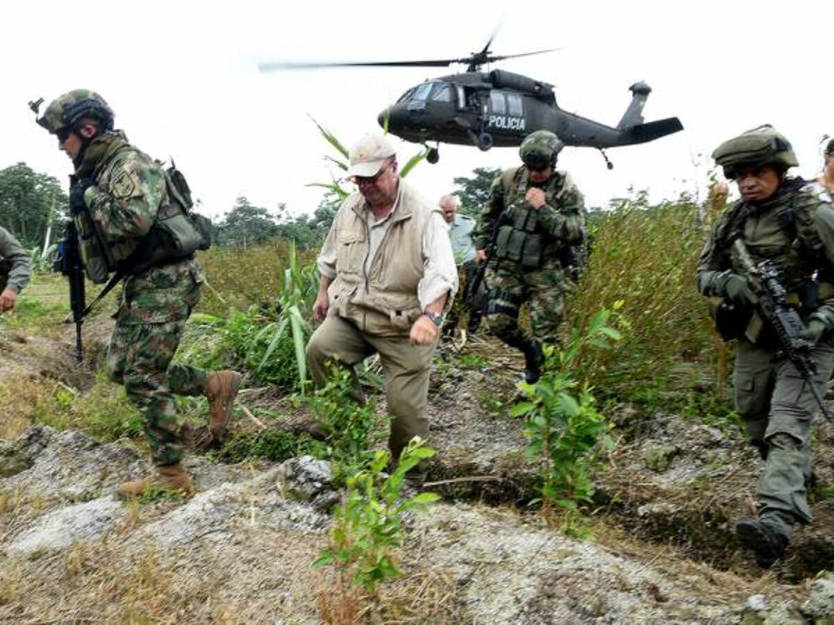 Campesinos del Catatumbo serán liberados de la esclavitud del narcotráfico: MinDefensa