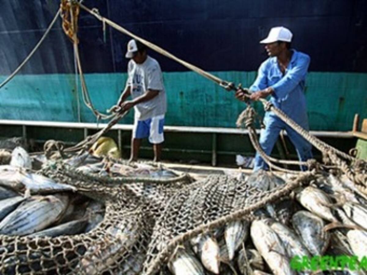 Frank Escalona, diputado del Partido Verde rechaza situación de pescadores en San Andrés