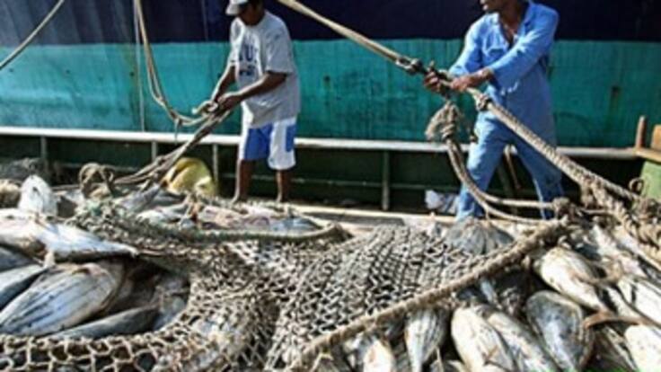 Frank Escalona, diputado del Partido Verde rechaza situación de pescadores en San Andrés