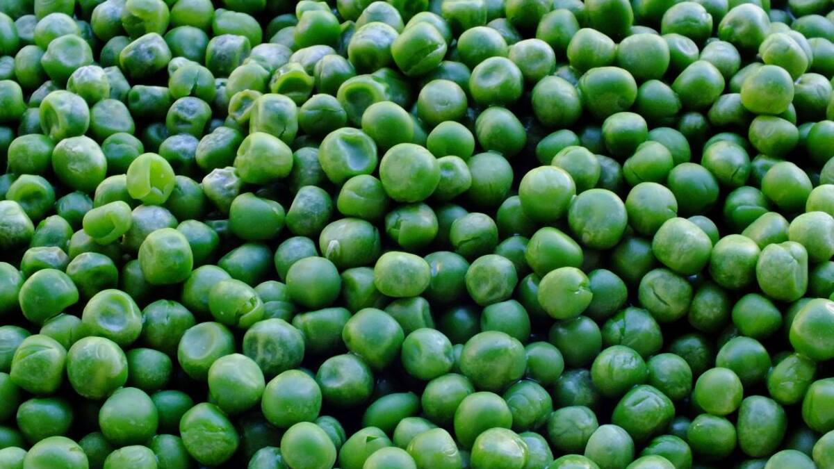 La arveja, la reina de las leguminosas