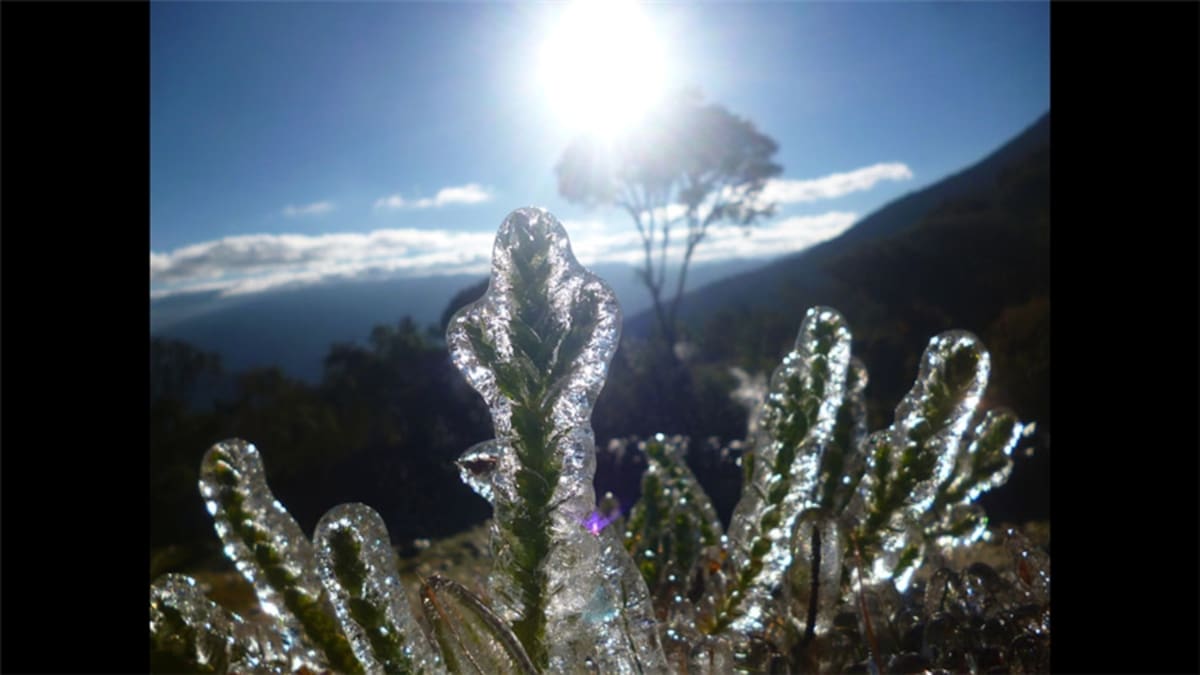 Otro tema del año 2013 fue "Al borde". Rolando López nos dice: "Chacaltaya, otrora la pista natural de esquí más alta del mundo. El calentamiento global se ha llevado sus nieves eternas”.