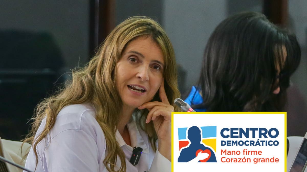 Uribismo pide que tutela para reiniciar elección de magistrado de CNE se resuelva antes de votación