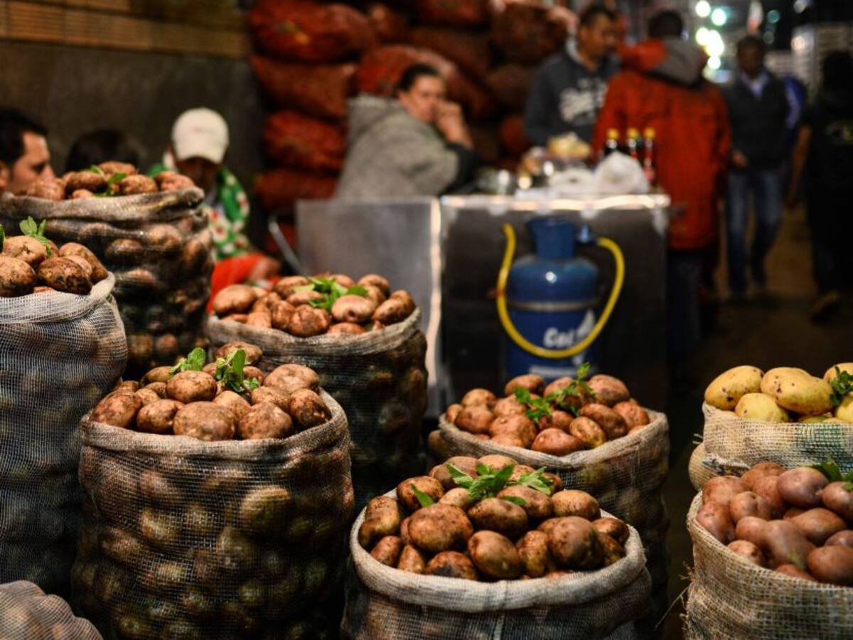 Importante baja en precios de la papa