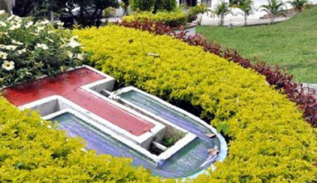 Universidad del Tolima