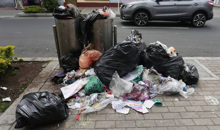 Imagen de referencia 