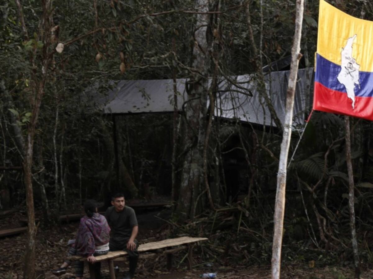 Más de 6.000 excombatientes de Farc quieren reincorporarse a sociedad civil
