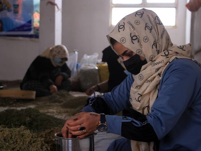 Herat (Afghanistan), 06/03/2024.- Afghan women process herbal medicines at a facility in Herat, Afghanistan, 06 March 2024 (12 March 2024). A woman in Herat has established a center for the production of herbal medicines. Herbs are collected, processed, and packaged along with various medicinal plants sourced from Herat. The botanical center also conducts educational seminars on botany. The manager of the center also sees patients in the workshop and operates a shop to distribute the medical drugs to the community. (Afganistán) EFE/EPA/STRINGER