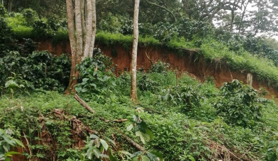 Inspección realizada por Bomberos Medellín el 21 de junio de 2022. Foto: cortesía. 