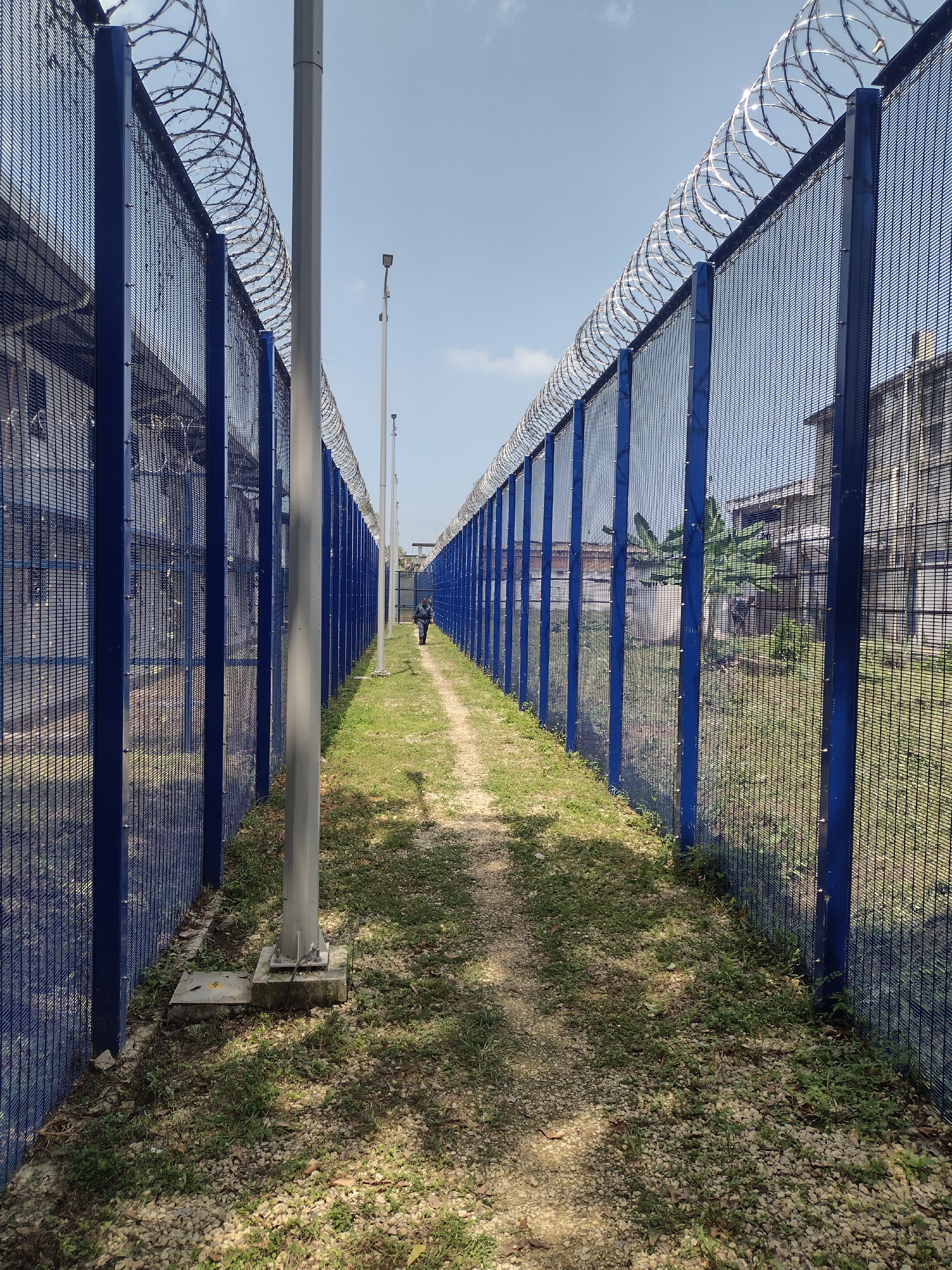 Foto: coertsía.